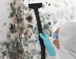 Best Mold Prevention Services  in Durand, WI